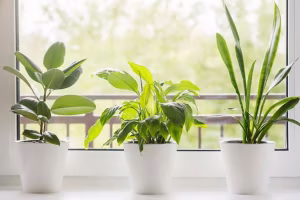 Indoor-Air-Quality_shutterstock_1822086260