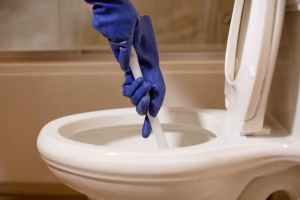Plunge-Toilet-1