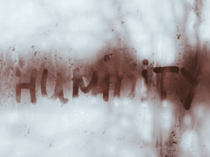 Untitled-design-2-1