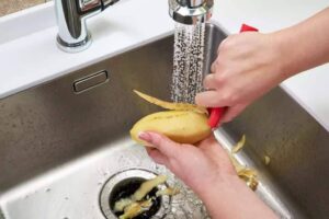garbage-disposal-potatoes-1024×683